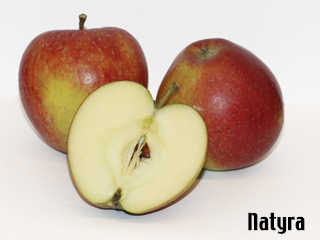 Bio-Apfel-Natyra von Rolker Ökofrucht