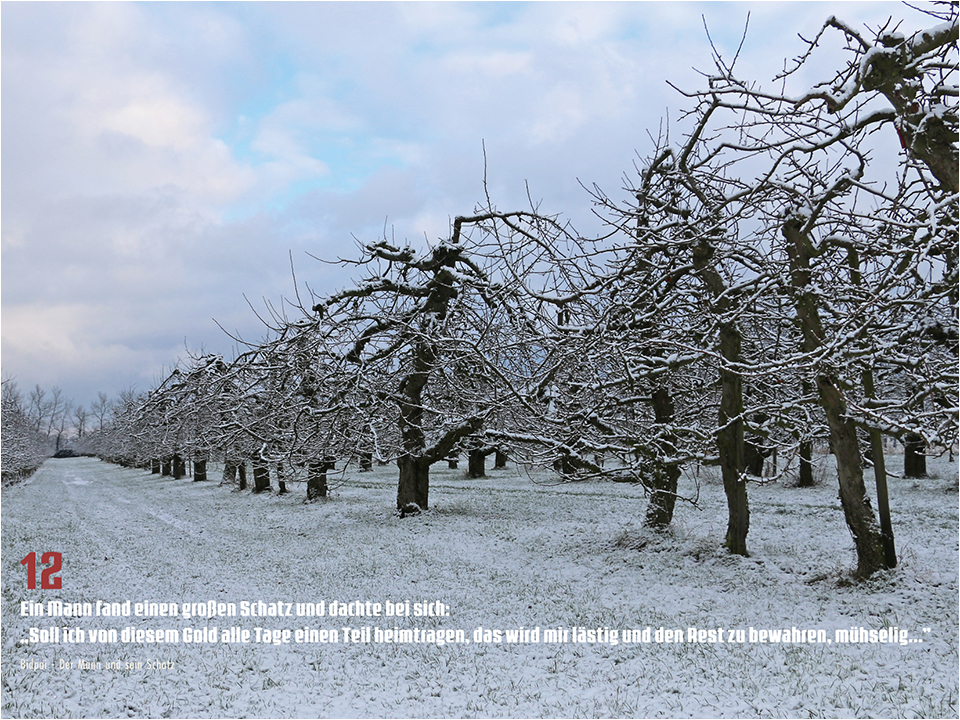 Rolker Ökofrucht Dezember 2024 Apfelplantage im Schnee